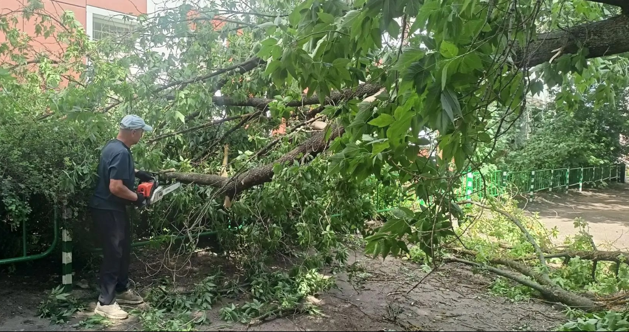 В Саранске ликвидируют последствия воскресного урагана 