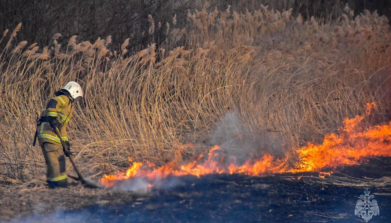 152 пожара потушили за неделю в Мордовии, 109 раз - пал травы 152 пожара потушили за неделю в Мордовии, 109 раз - пал травы