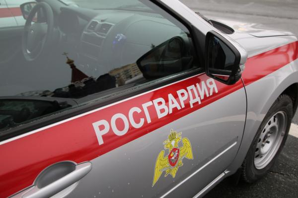 Хаотично ехавшую «одиннадцатую» остановили росгвардейцы в Рузаевке