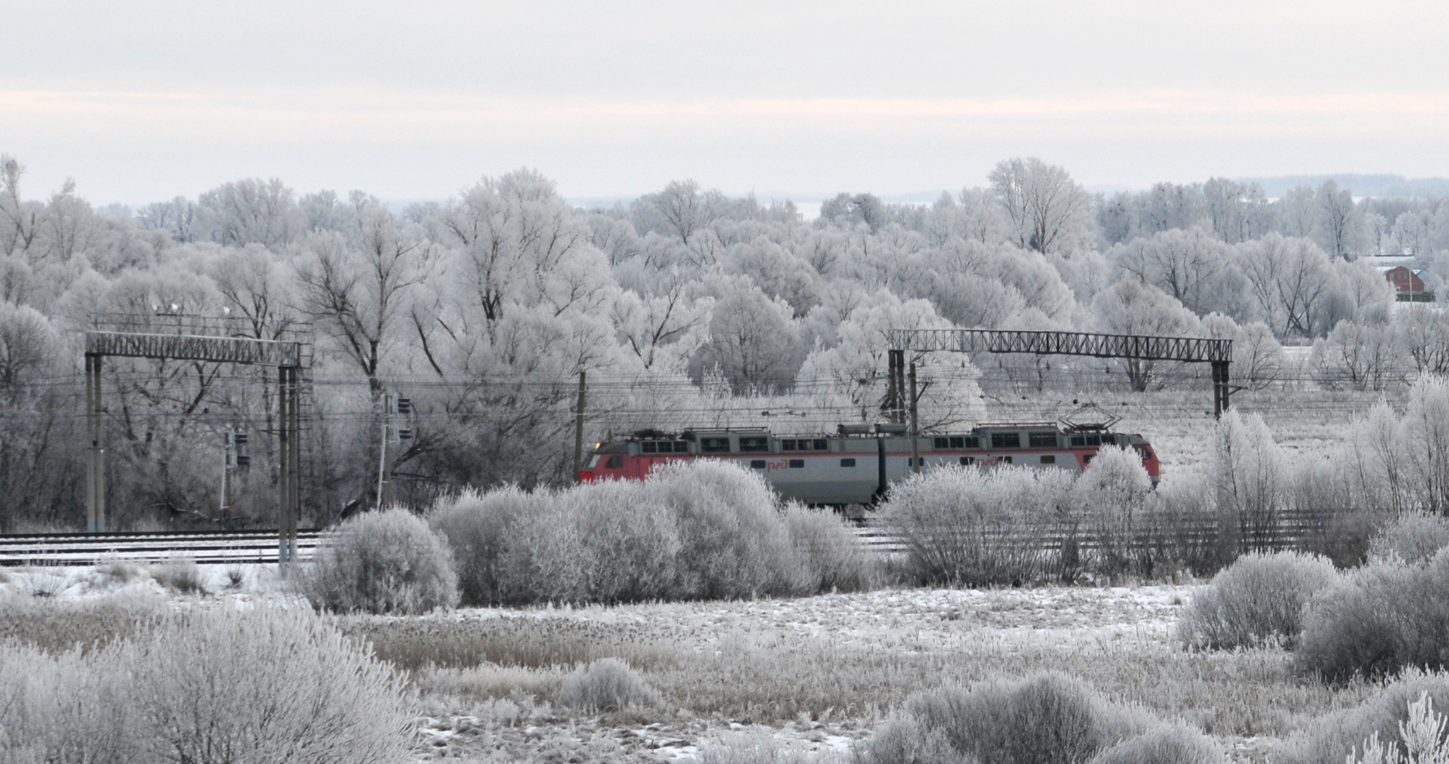 Жительница Мордовии погибла под колёсами поезда 