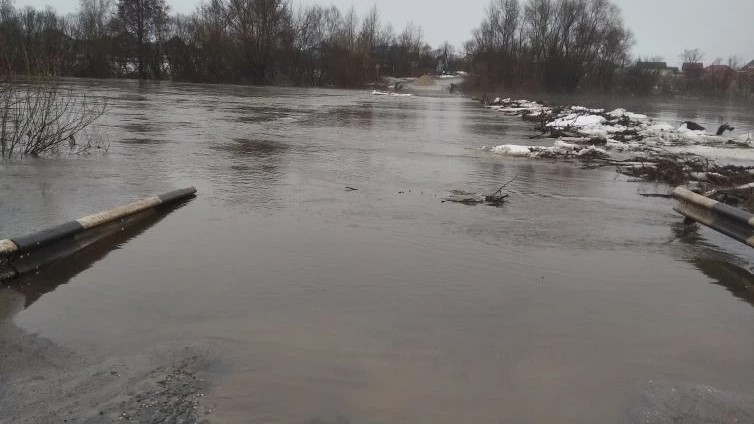 В Пурдошках подтопило низководный мост