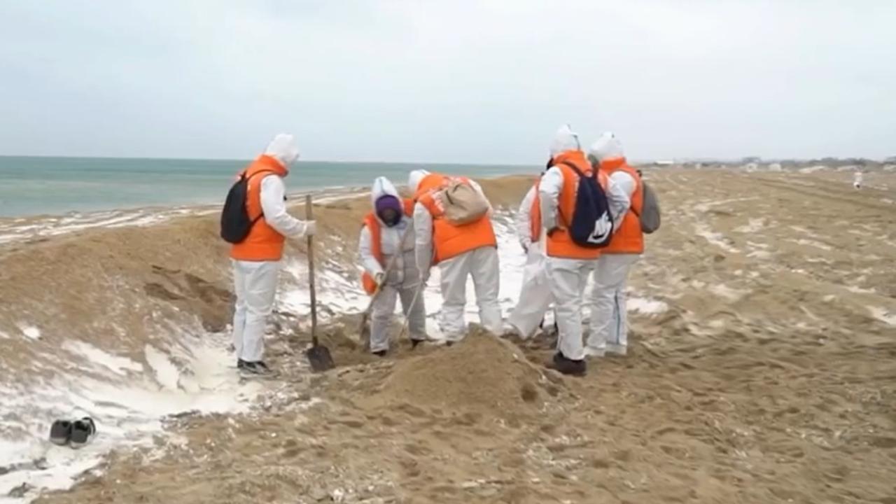 Фото мазутного пятна в черном море Добровольцы из Мордовии сегодня приступили к работам по устранению разлива мазут