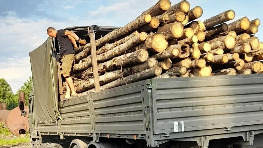Из Мордовии в зону СВО отправили отборный лесоматериал
