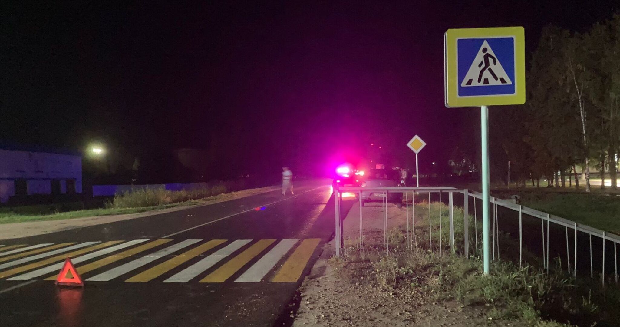 За сбитого насмерть пешехода житель Мордовии получил 2 года условно 