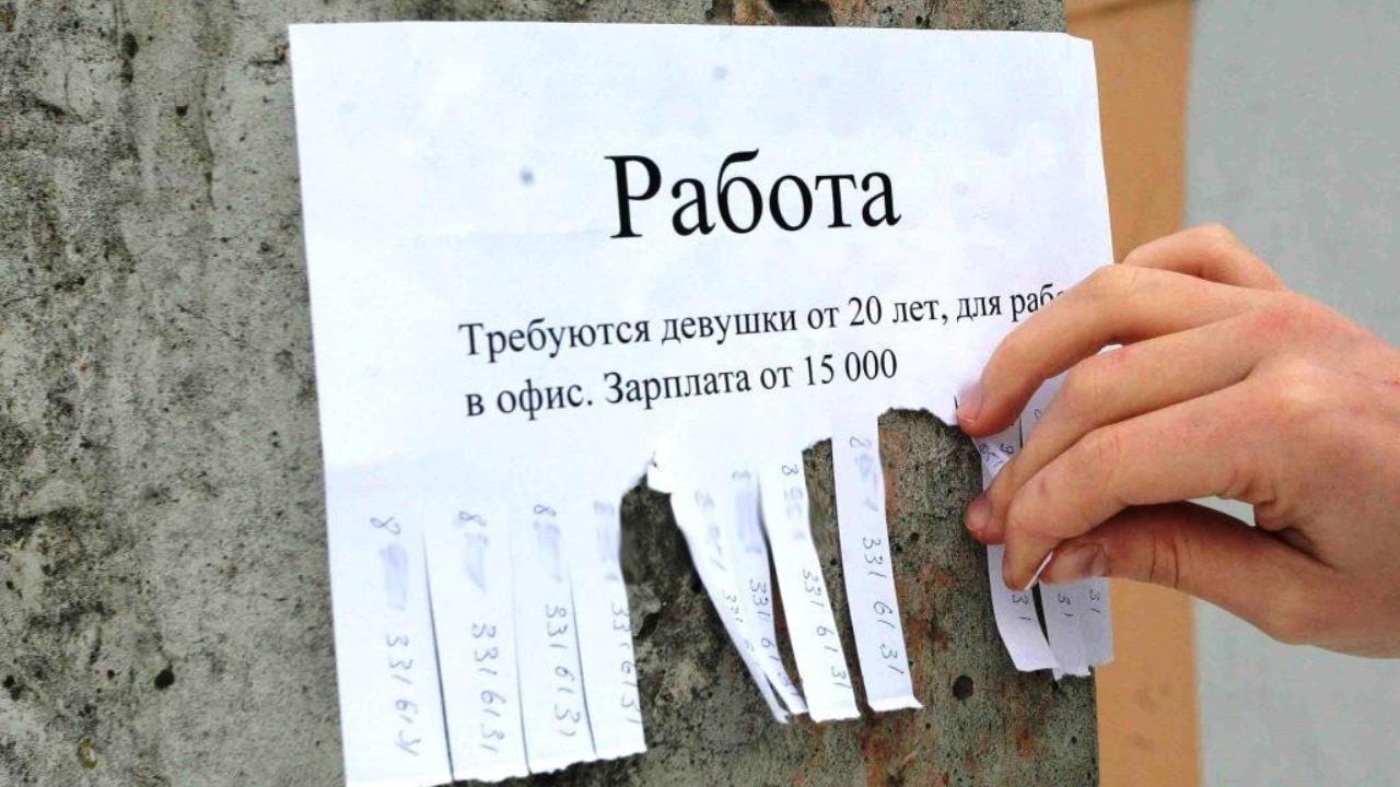 Более 600 человек требуются на временные вакансии в Мордовии Более 600 человек требуются на временные вакансии в Мордовии