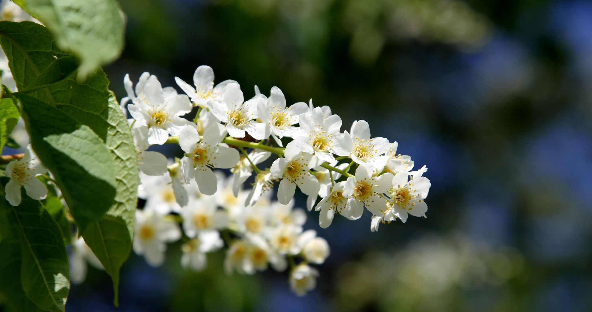 Синоптик рассказал, когда придёт весна в 2026 году 