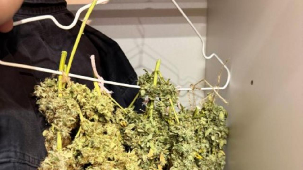 Житель Мордовии сушил коноплю на вешалке в шкафу