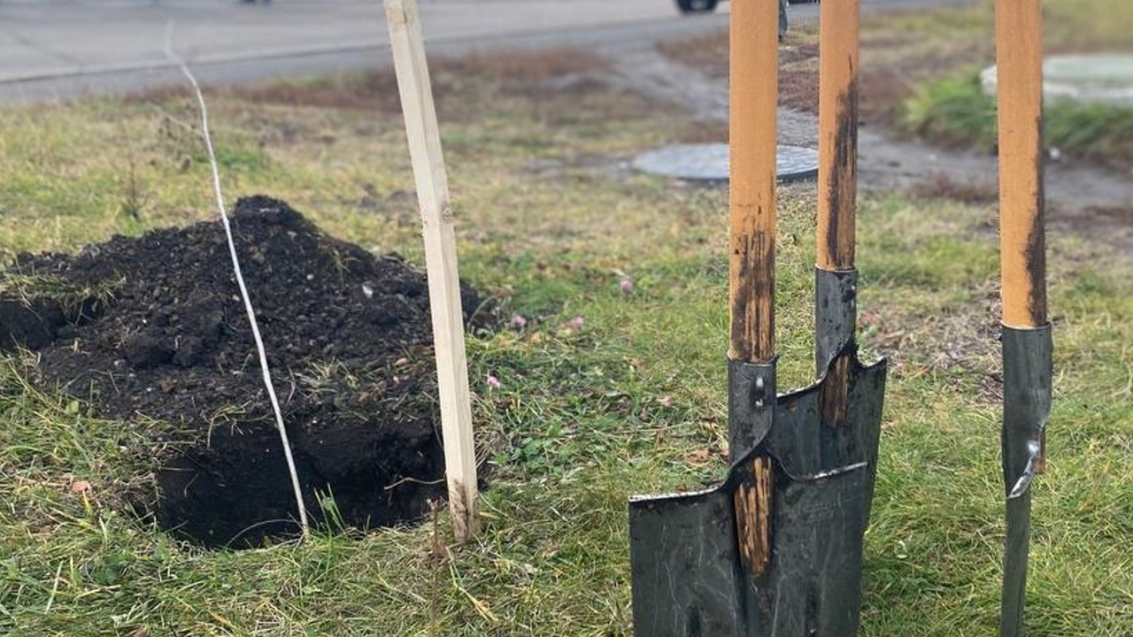 В Саранске появилась новая аллея 
