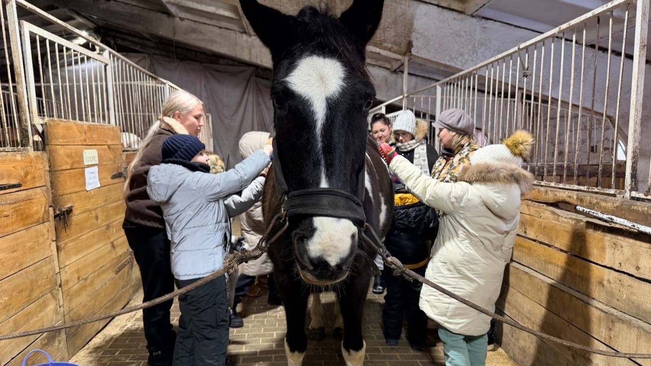 В Мордовии семьи ветеранов СВО посетили конный клуб