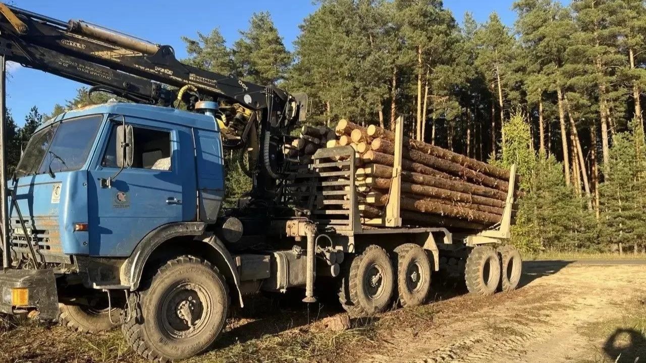Из Мордовии в зону СВО отправили лес-кругляк