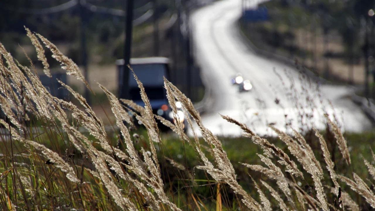 Два жителя Мордовии задержаны на трассе в Тамбовской области 