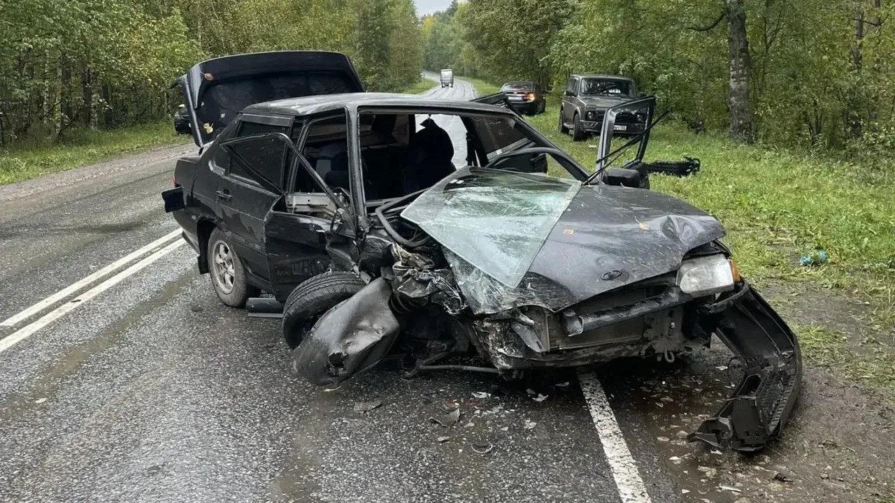В Мордовии в лобовом ДТП травмированы два человека