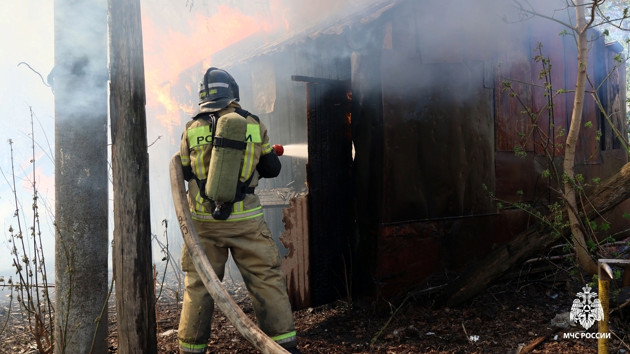На пожарах в Мордовии погибли 29 человек 