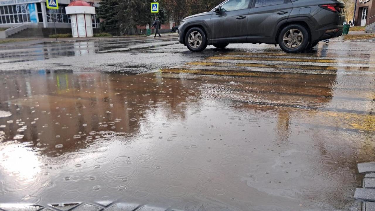 В воскресенье в Мордовии будет мокро и ветрено 