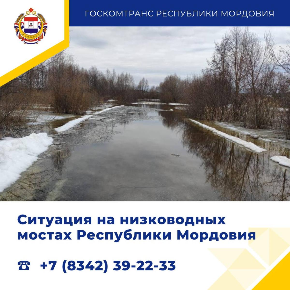 В Мордовии подтопление угрожает мосту около Пурдошек