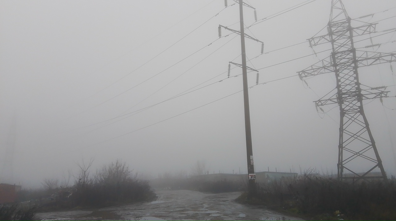 В Мордовии утро понедельника будет туманным