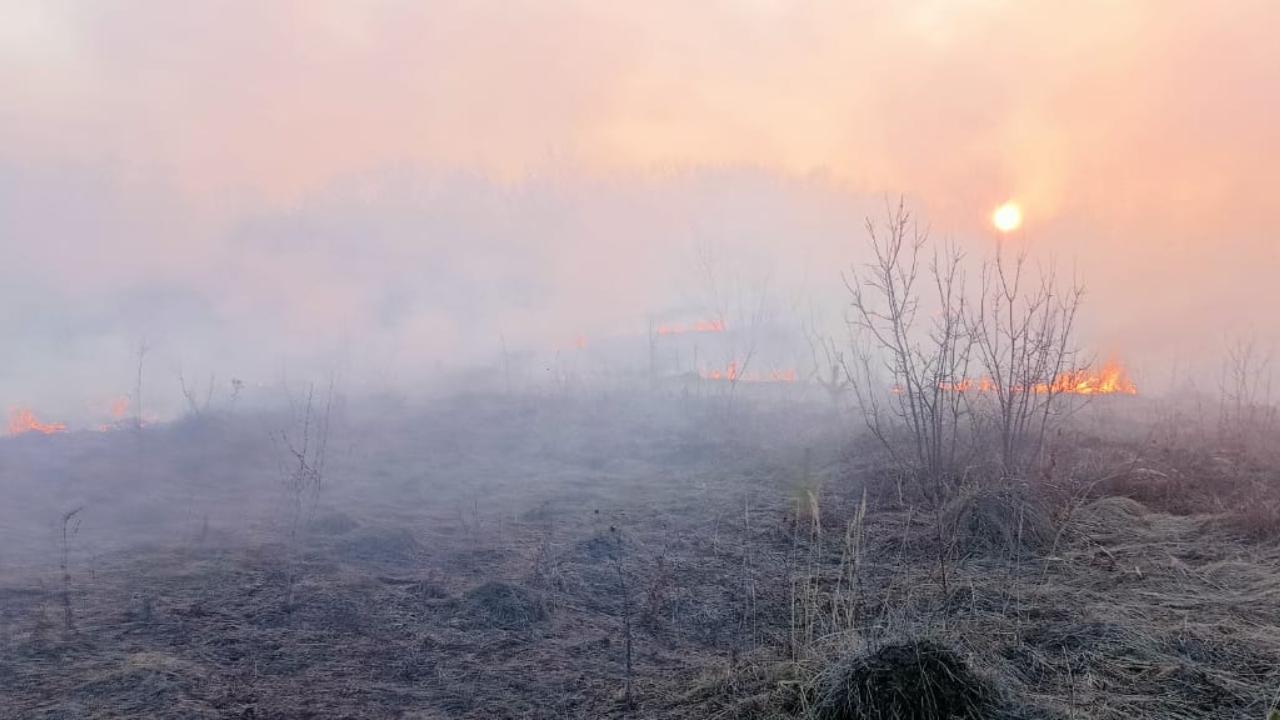 На 2 пожара и 2 ДТП выезжали спасатели Мордовии за сутки На 2 пожара и 2 ДТП выезжали спасатели Мордовии за сутки