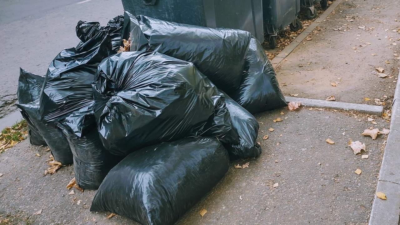 Мордовия на переработку отходов получит больше 1,4 миллиарда рублей 