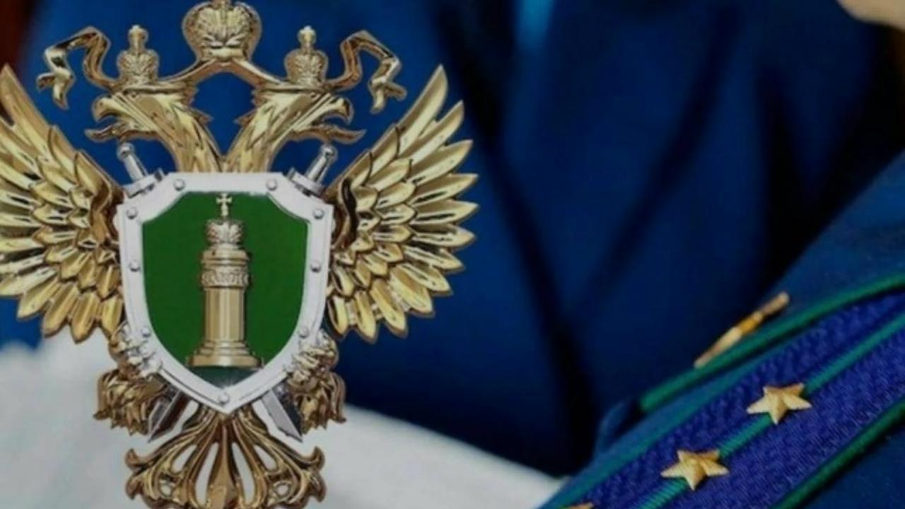 Подробности гибели подростка в Мордовии будет выяснять прокуратура 