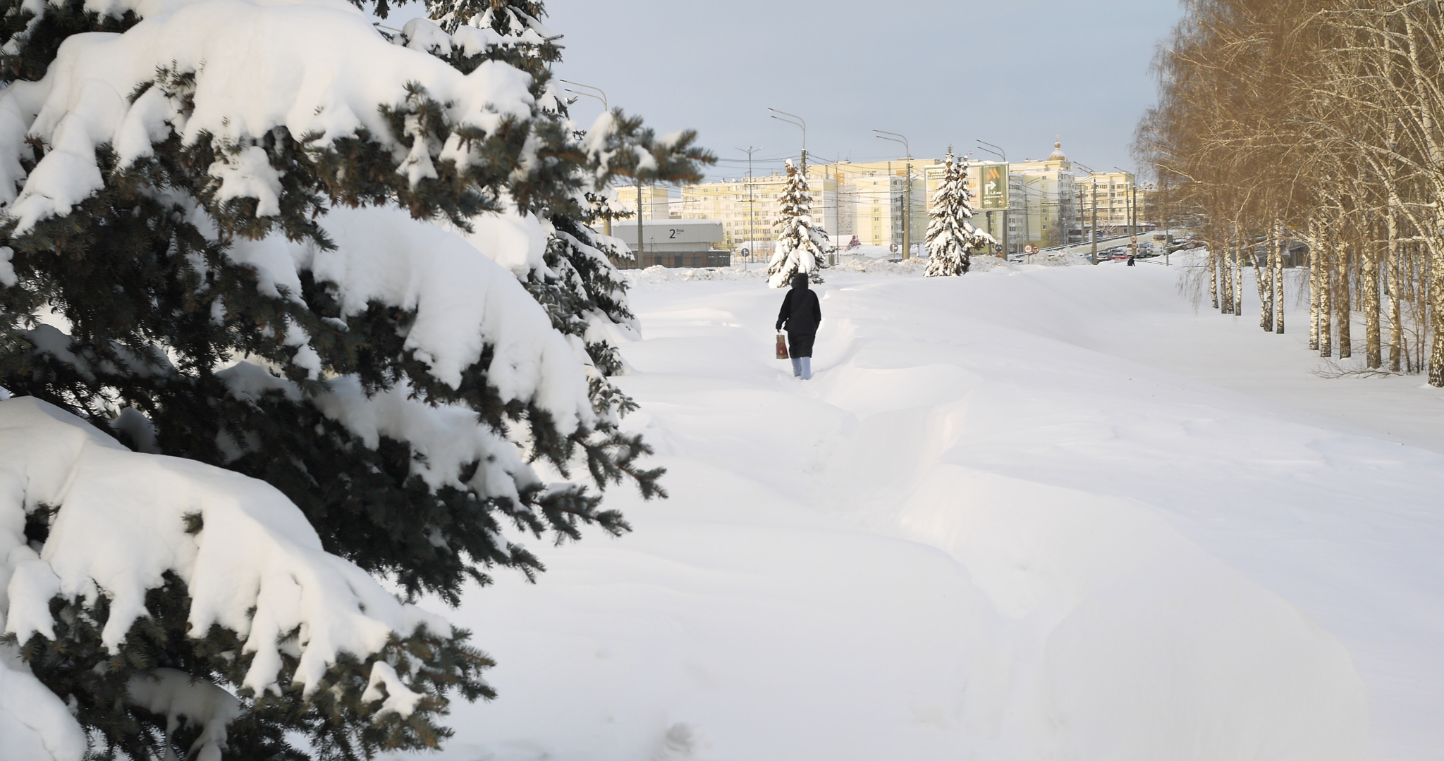 Когда растает снег в 2026 году: прогноз синоптика 