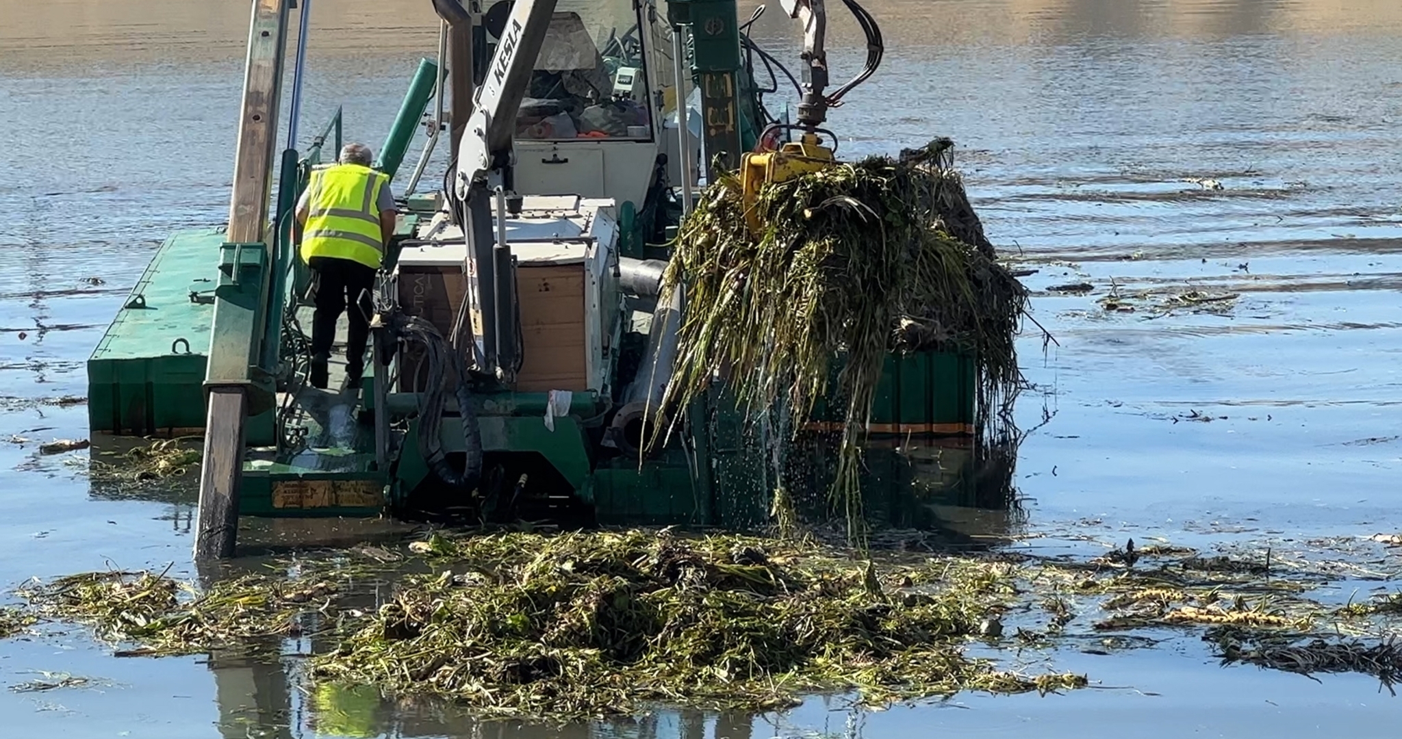 В Мордовии предложили очистить озеро Вячкишево 