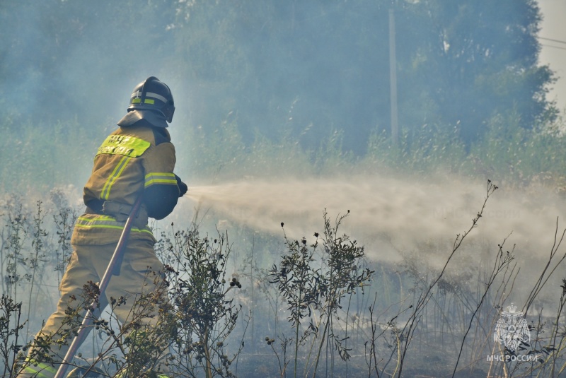 За сутки пожарные Мордовии 4 раза тушили мусор и 3 раза – сухую траву, сгорела баня и поврежден дом