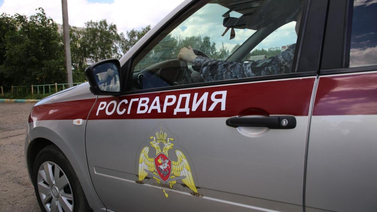 Молодой хулиган разбуянился в торговом центре Саранска Молодой хулиган разбуянился в торговом центре Саранска