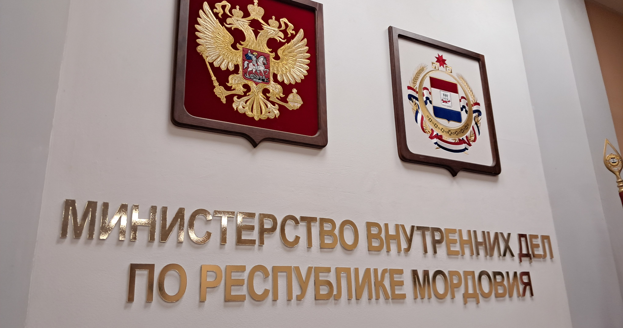 В Мордовии с крупной партией контрафакта задержан житель Ульяновской области 