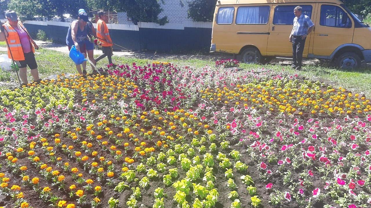 Больше 20 тысяч цветов высадят на улицах Рузаевки в этом году Больше 20 тысяч цветов высадят на улицах Рузаевки в этом году