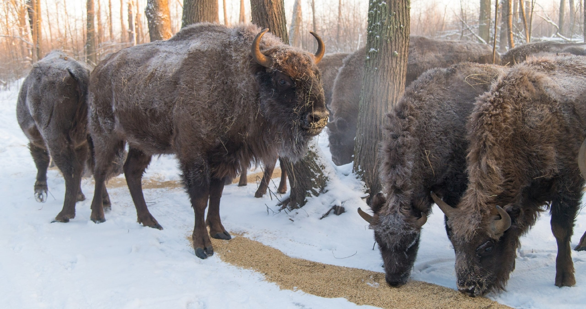 Глава Минприроды поздравил Мордовский заповедник с 90-летием 