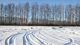 В Мордовии в два раза сократился объём незаконных рубок леса