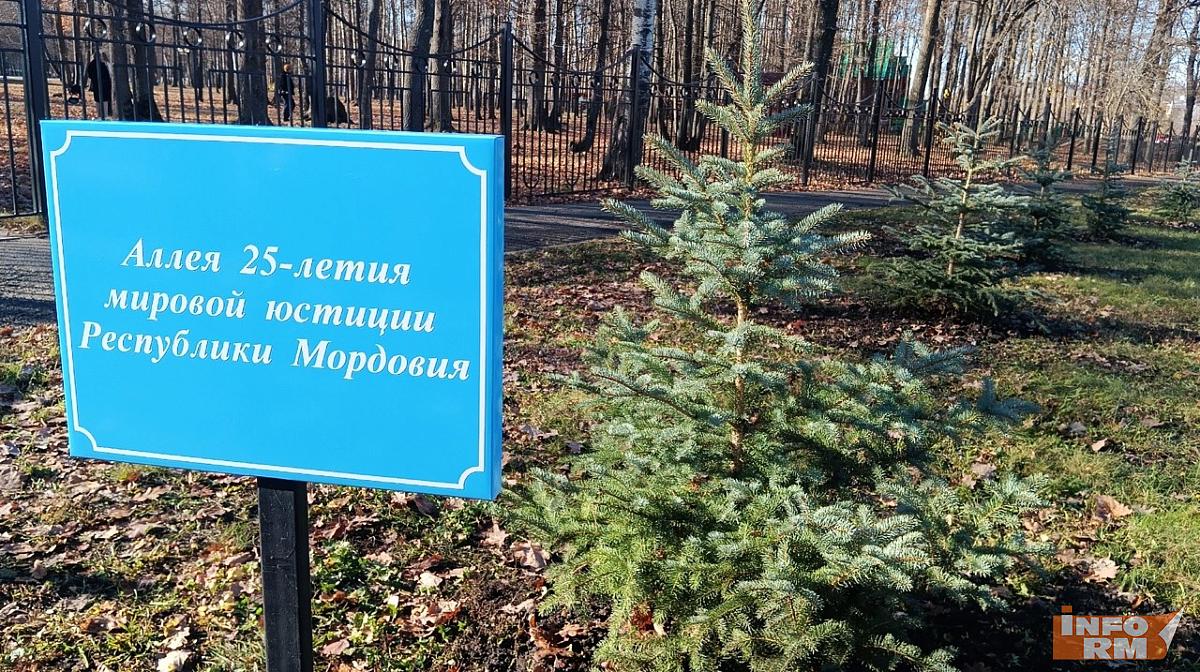 В Саранске посадили аллею к 25-летию мировой юстиции В Саранске посадили аллею к 25-летию мировой юстиции