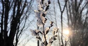 Аномальные морозы скоро уйдут из Мордовии 