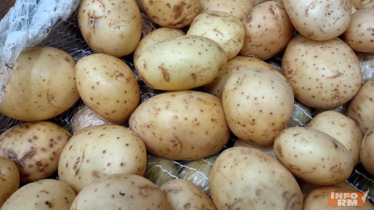 В Мордовии овощи дешевеют, обучение дорожает