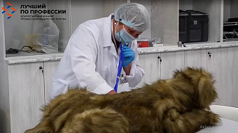 Лучшего ветеринарного фельдшера выбрали в Мордовии