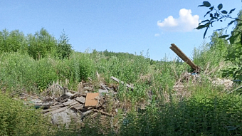 В Мордовии районная администрация заплатит более 10,8 миллиона рублей за незаконную свалку