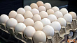 В Мордовии за январь произвели более 124 миллионов яиц