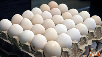 В Мордовии за январь произвели более 124 миллионов яиц