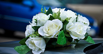 Первый брак на Ставрополье в 2026 году заключила жительница Мордовии 