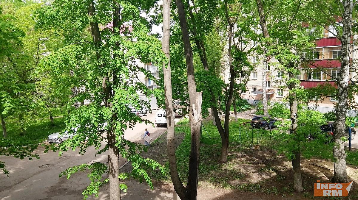 За мытье машин в неположенных местах могут оштрафовать на 400 тысяч рублей За мытье машин в неположенных местах могут оштрафовать на 400 тысяч рублей