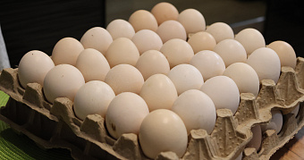 Депутаты задумались о ценах на продукты в магазине 