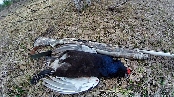 В Мордовии проверили охотников