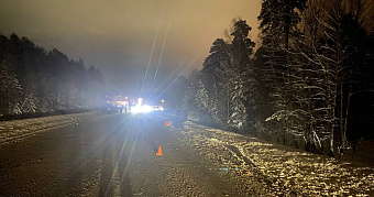 Дальнобойщик в Мордовии покалечил 3-летнего ребёнка и двух взрослых 