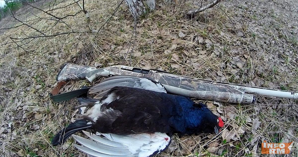 В Мордовии закончилась массовая проверка владельцев оружия 