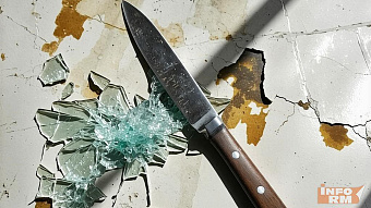 Негостеприимного жителя Саранска отправили в колонию