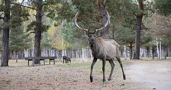 Для туристов в Мордовии специально подготовили «Семейные маршруты» 