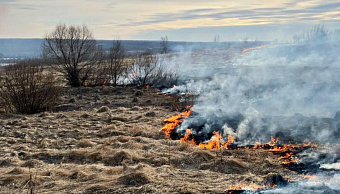 Особый противопожарный режим введён в Мордовии