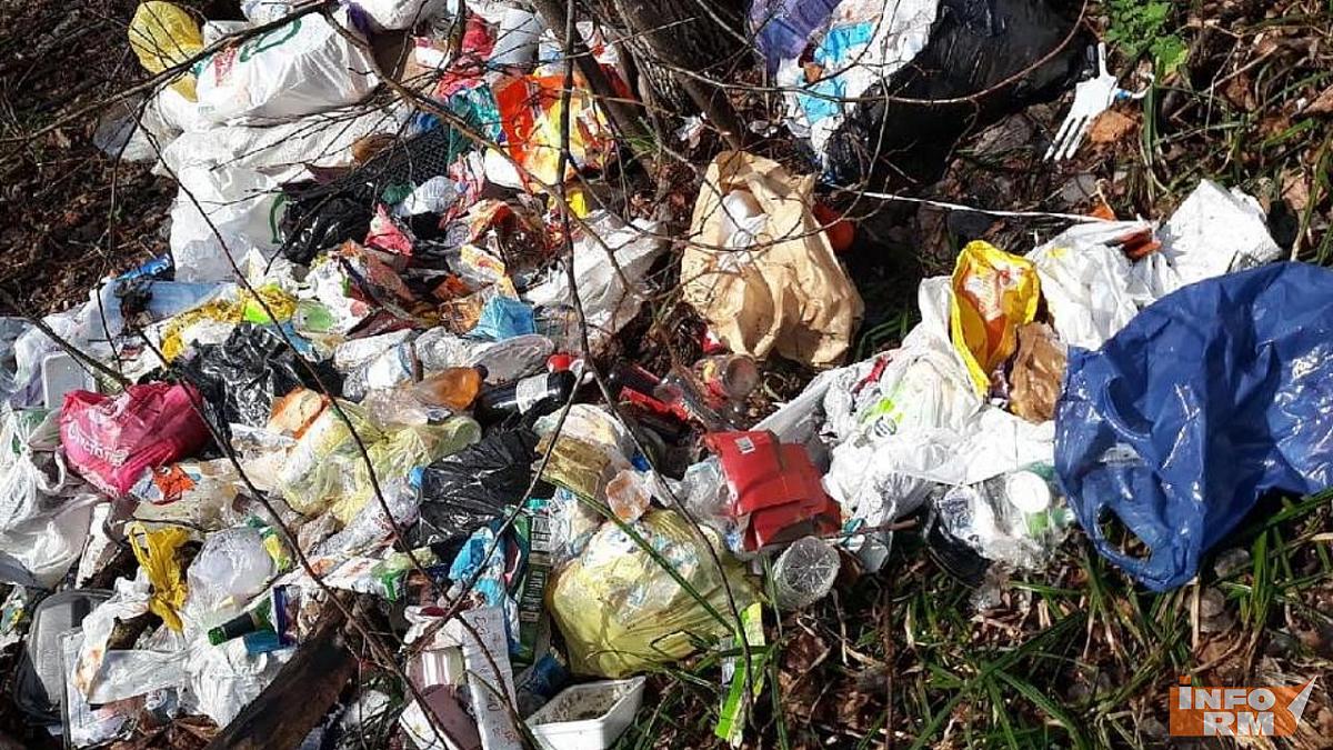 Мордовию признали проблемным регионом по утилизации отходов