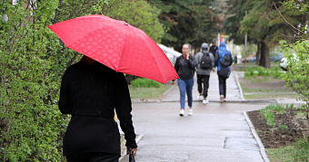 То дожди, то солнце: синоптики обещают переменчивую погоду 