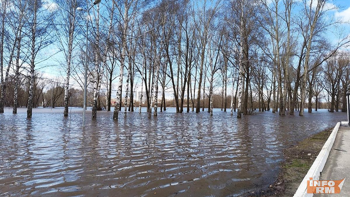 Экопарк в Саранске затоплен на 40 %